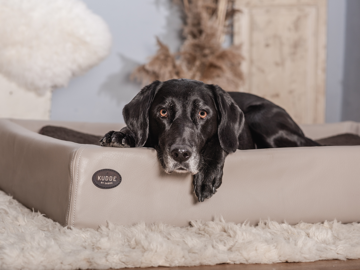 SABRO KUDDE Hundebett Kunstleder