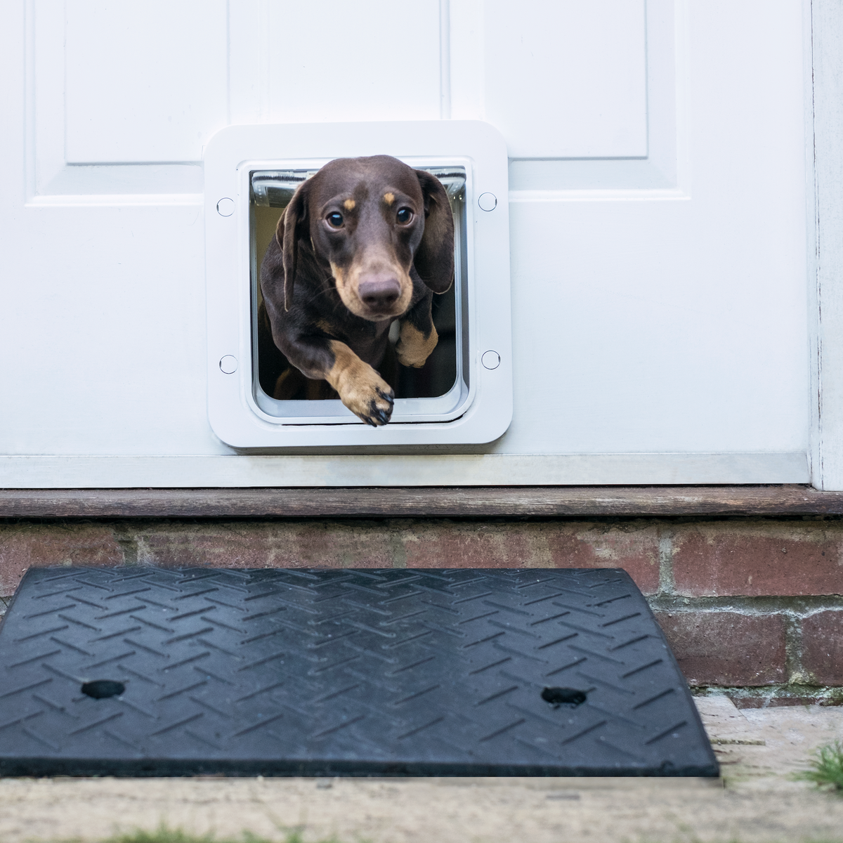 SureFlap Microchip Pet Door Connect Katzenklappe