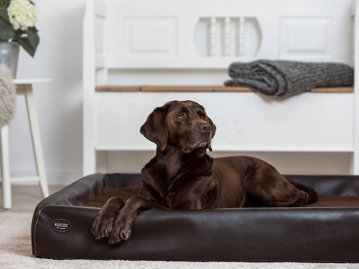 SABRO KUDDE Hundebett Kunstleder