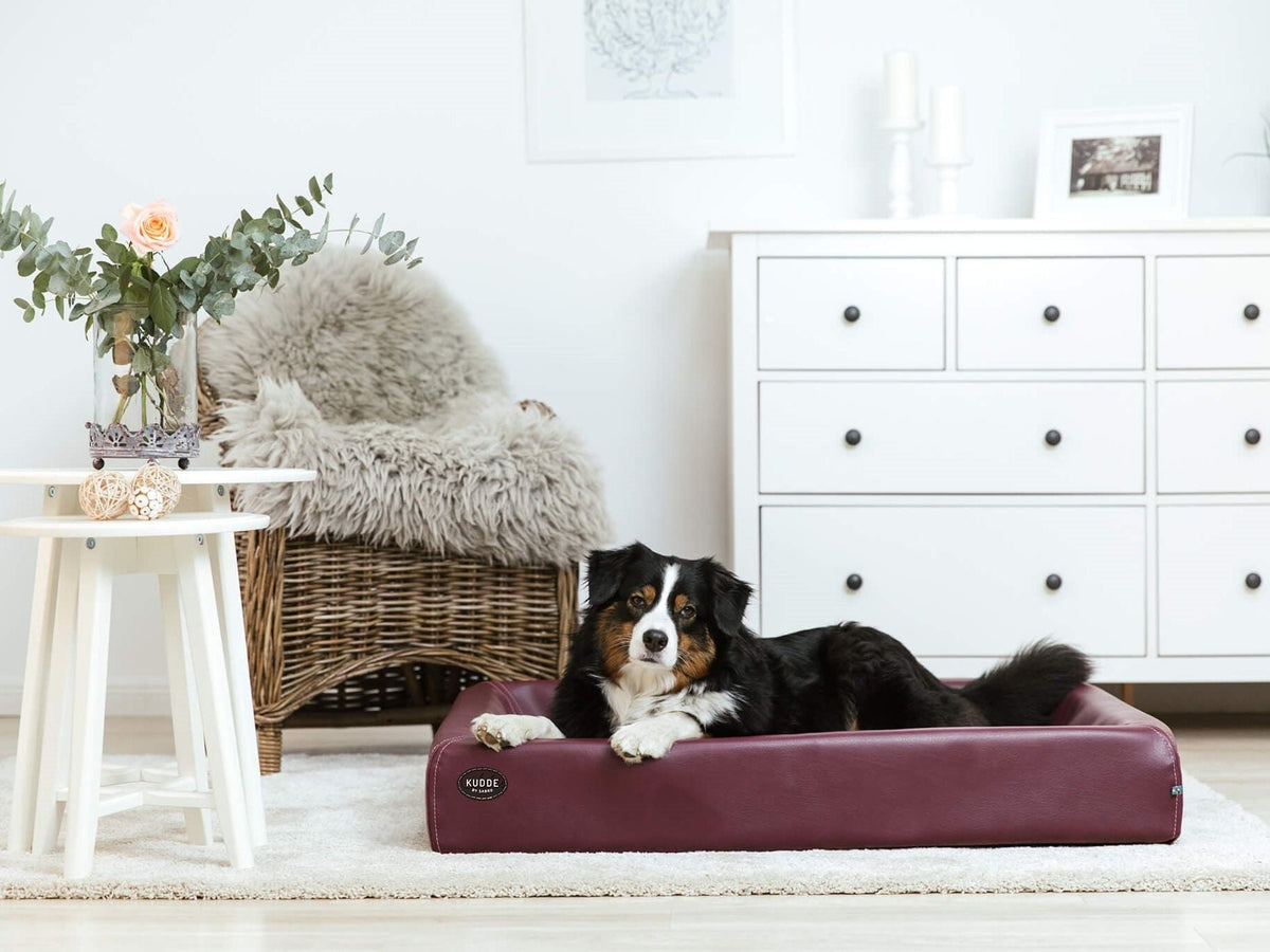 SABRO KUDDE Hundebett Kunstleder