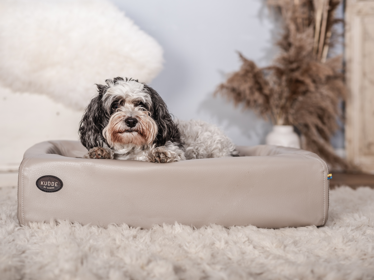 SABRO KUDDE Hundebett Kunstleder