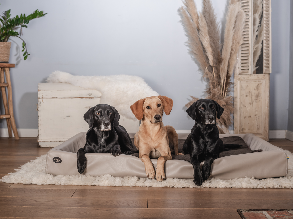 SABRO KUDDE Hundebett Kunstleder