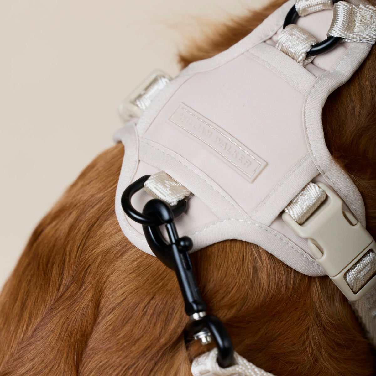 William Walker Y-Hundegeschirr Sand