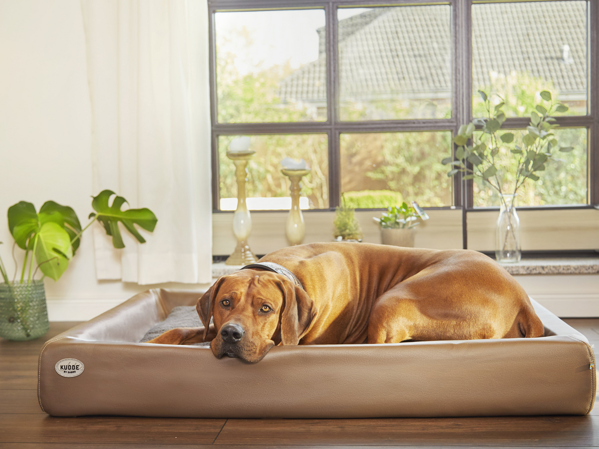 SABRO KUDDE Hundebett Kunstleder