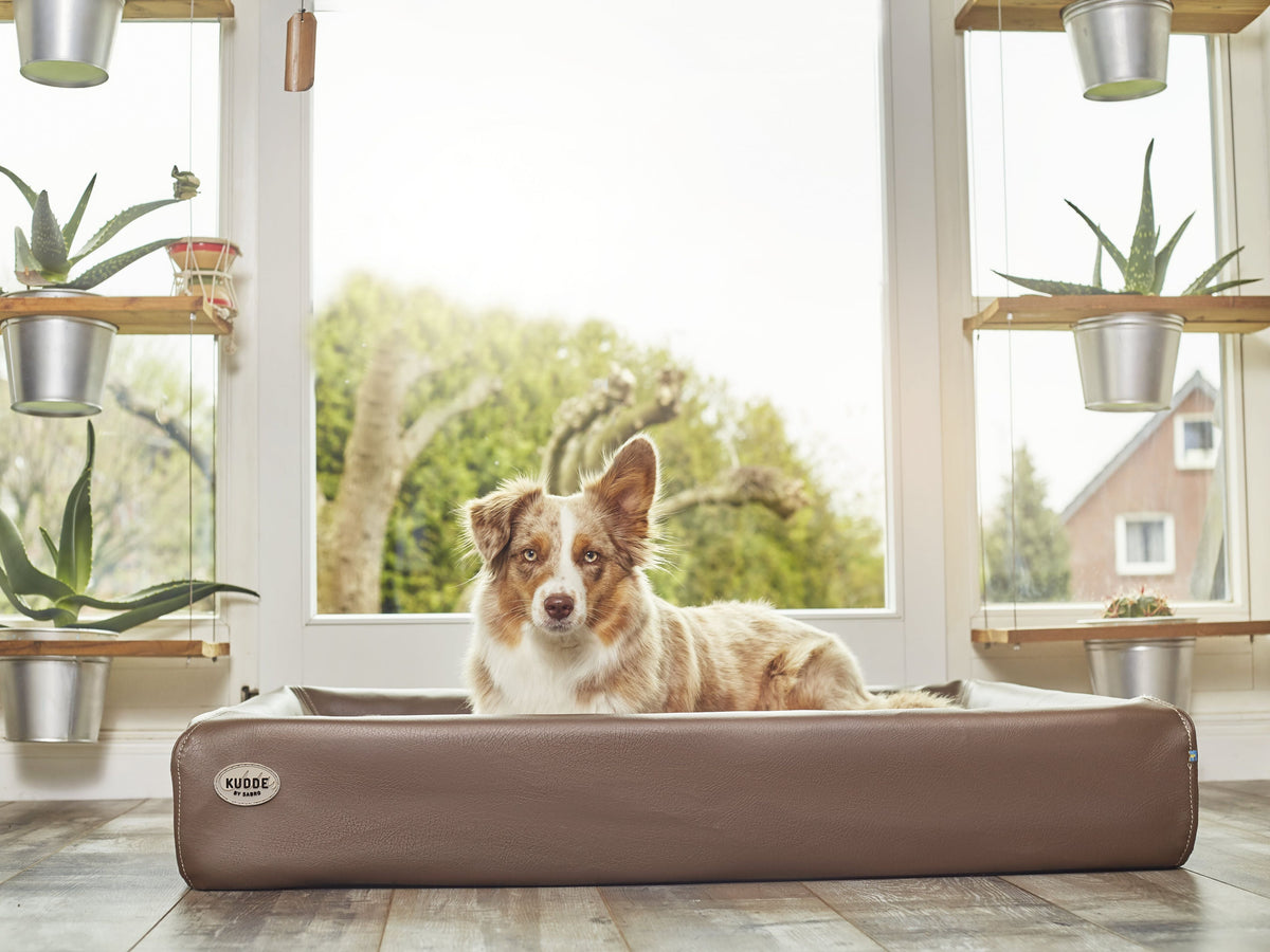 SABRO KUDDE Hundebett Kunstleder