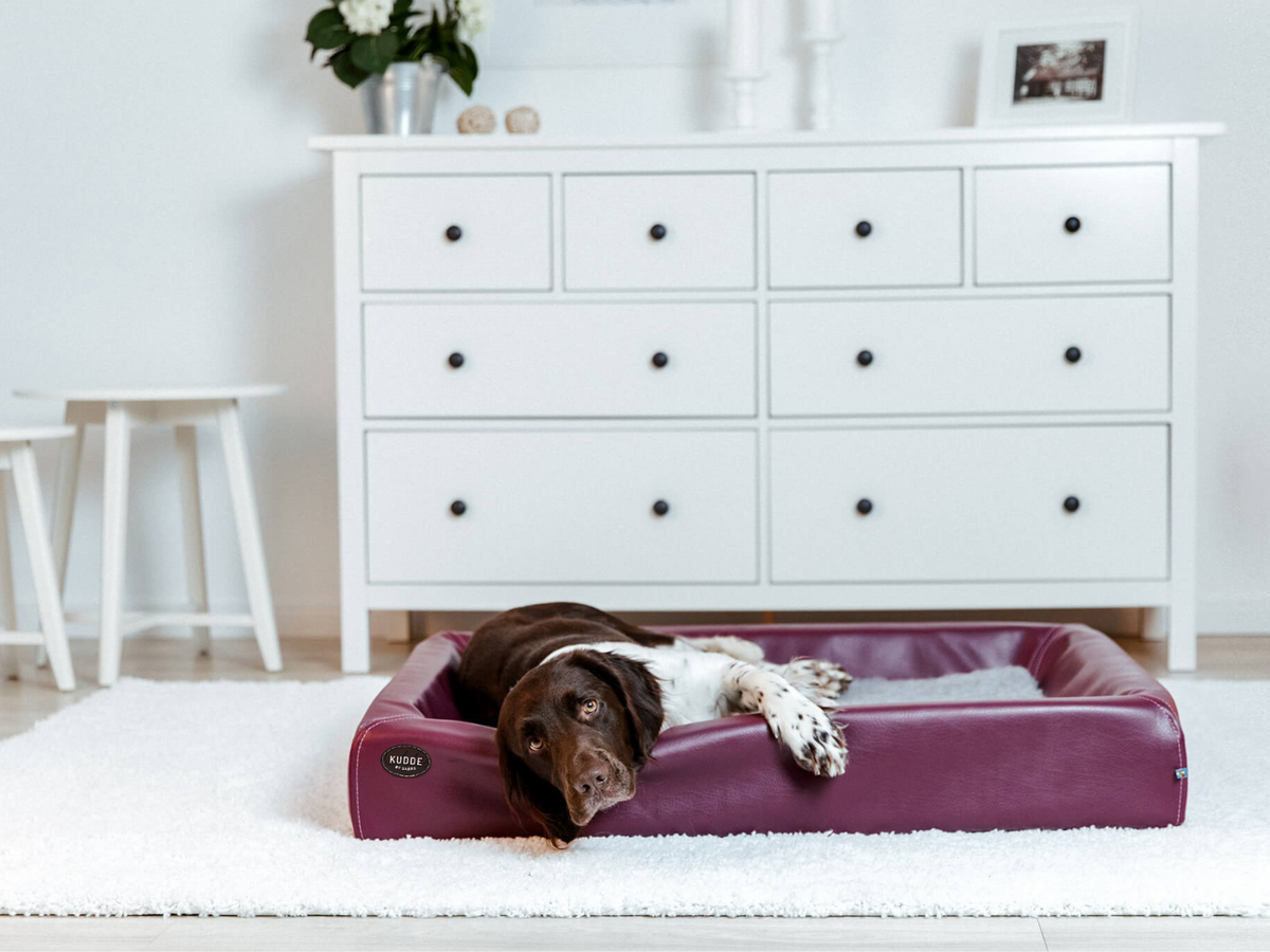 SABRO KUDDE Hundebett Kunstleder
