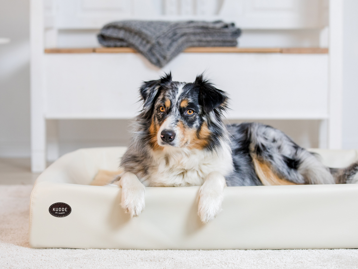 SABRO KUDDE Hundebett Kunstleder