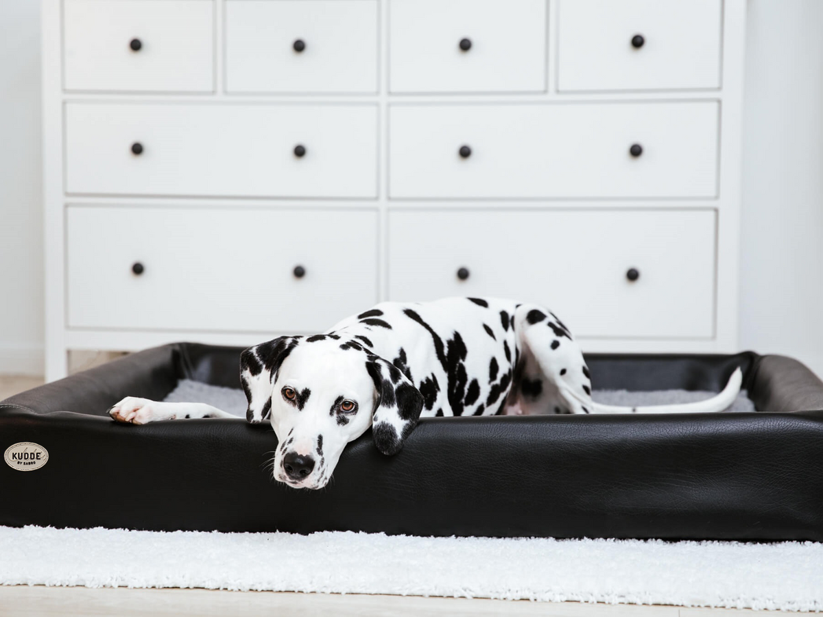 SABRO KUDDE Hundebett Kunstleder