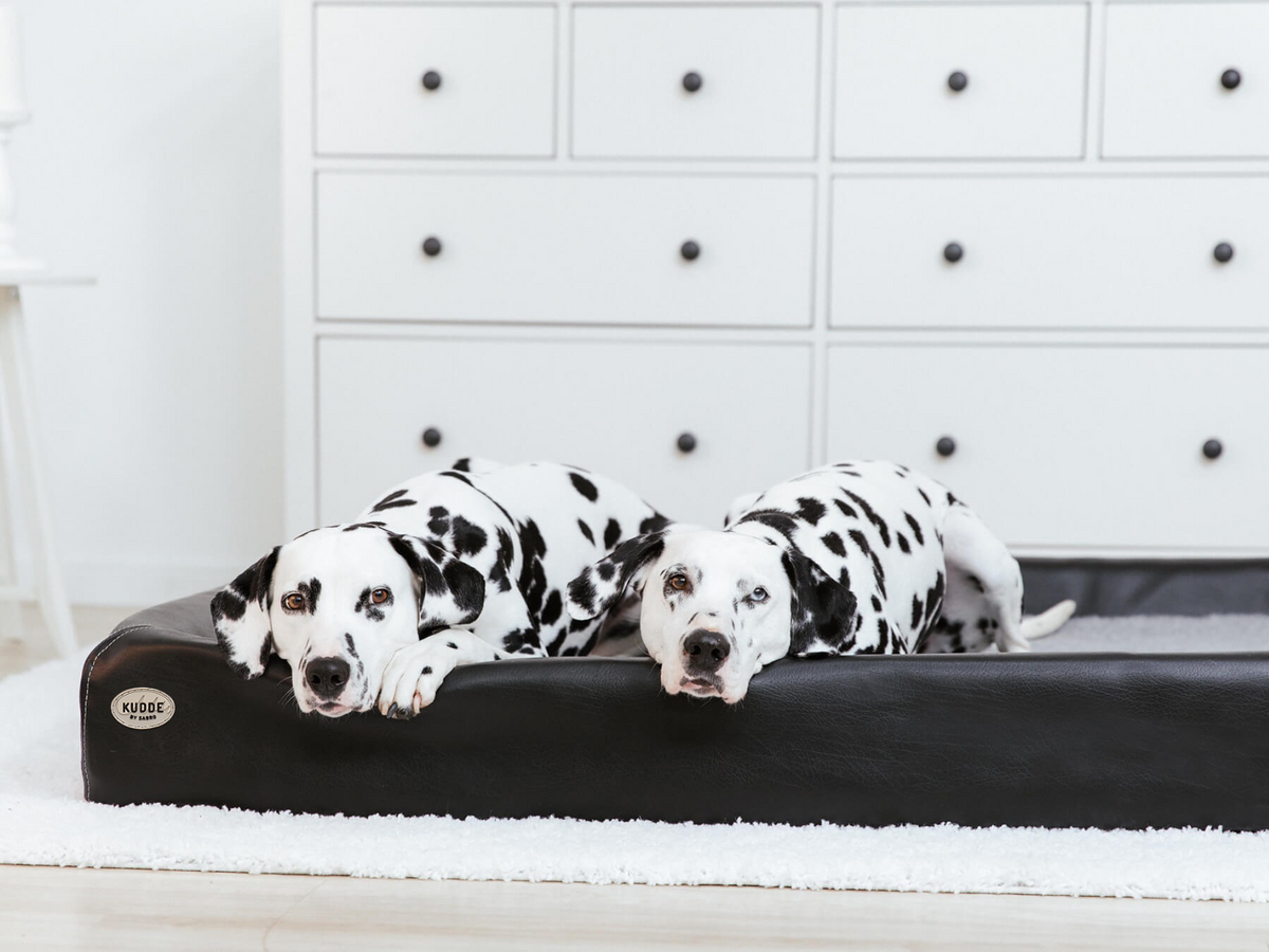 SABRO KUDDE Hundebett Kunstleder